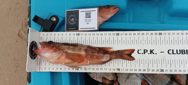 Fish Measure Picture